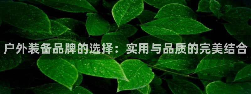 富邦娱乐app下载