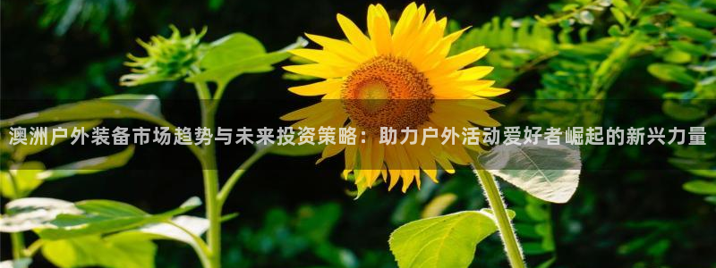 富邦翡翠娱乐