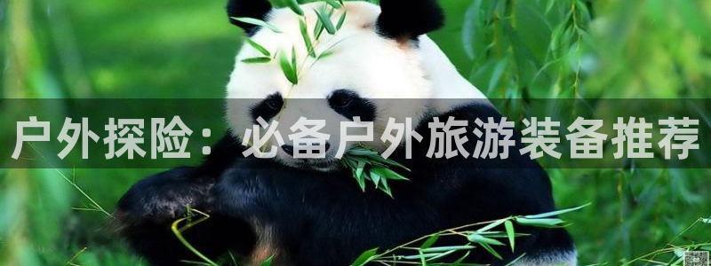 富邦娱乐官网 全礴网