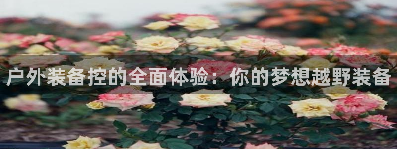 富邦娱乐开户-上全狐网