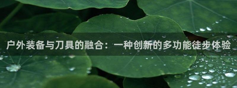 富邦娱乐平台 全礴网