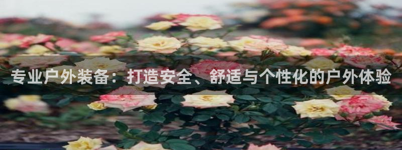 杭州富邦娱乐集团