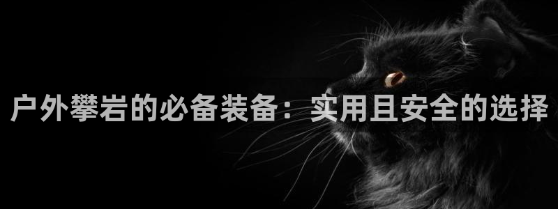 富邦现场娱乐