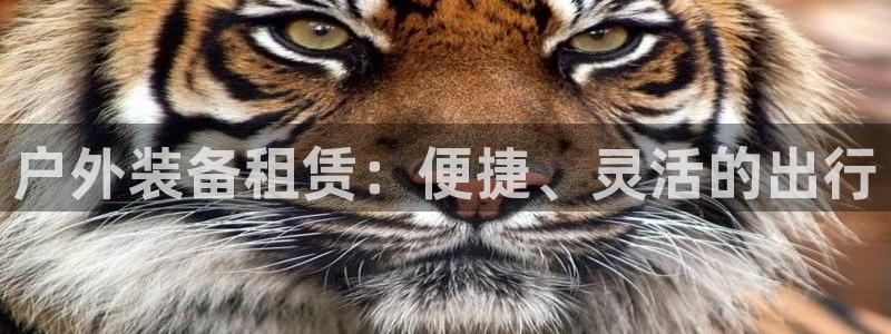 富邦娱乐官网