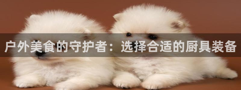 富邦娱乐项目