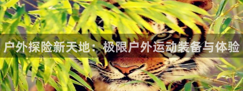 富邦娱乐登入探索无限空间