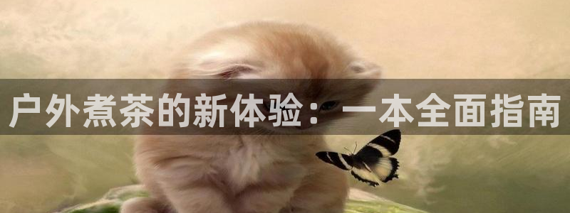 富邦娱乐彩票官网下载