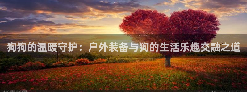 富邦娱乐会员账号大全