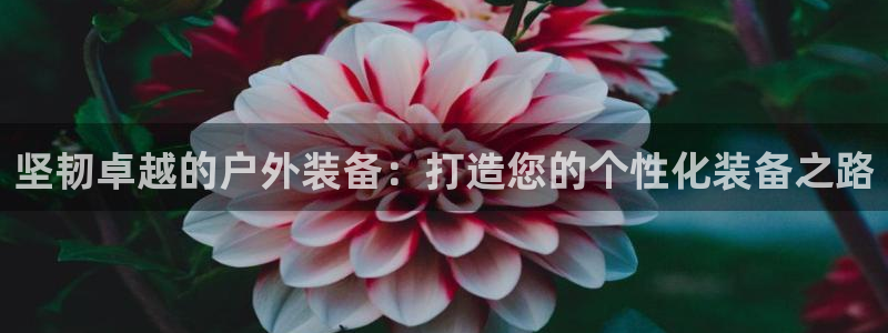 富邦娱乐 皇恩靠谱