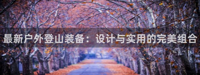 富邦娱乐 果敢锦海