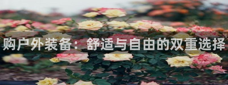 富邦娱乐团购活动