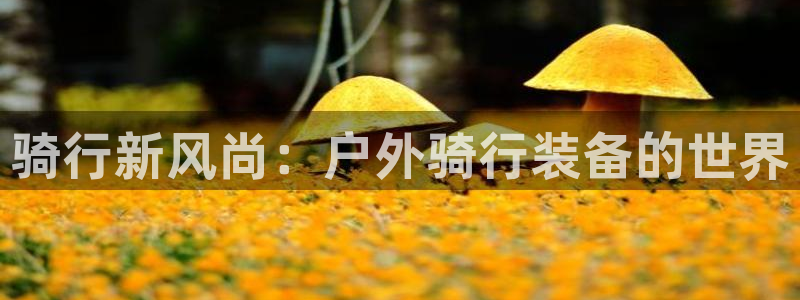 富邦娱乐 全礴网