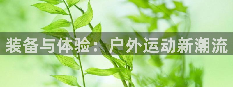 富邦娱乐官网 全礴网