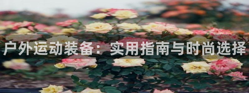 富邦酒店有娱乐场所