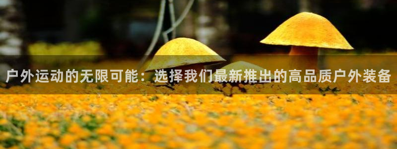 富邦娱乐网址是